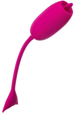 Cal Exotics Rechargeable Kegel Teaser - Vibruojantis kiaušinis 1