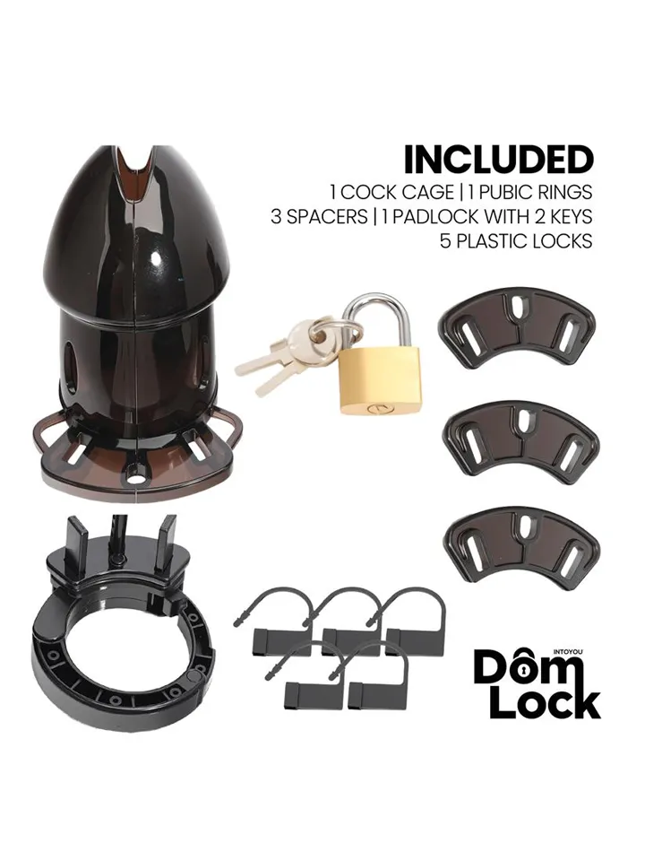 Cell Chastity Cage With Spacers - Skaistybės narvas 3 [full]