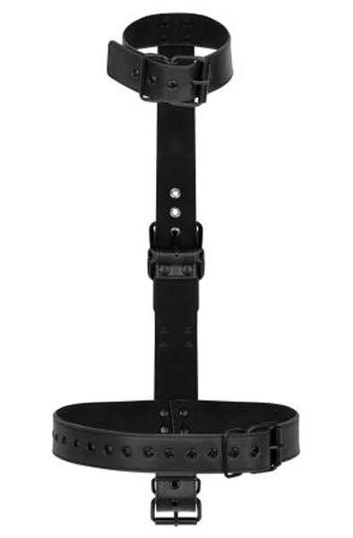 Collar With Wrist Cuffs Body Restraint Set - Pozicijos meistras 3