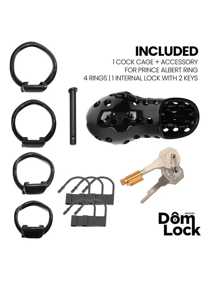 Convict Chastity Cage With Internal Lock - Varpos narvas 3 [full]