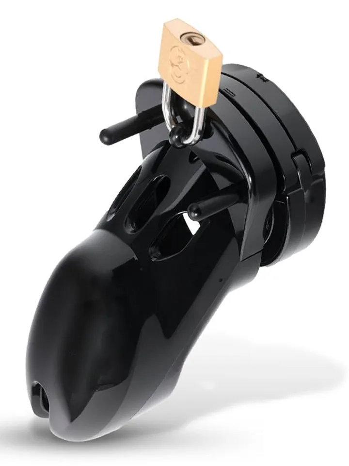 Custody Chastity Cage - Skaistybės narvas 1 [full]