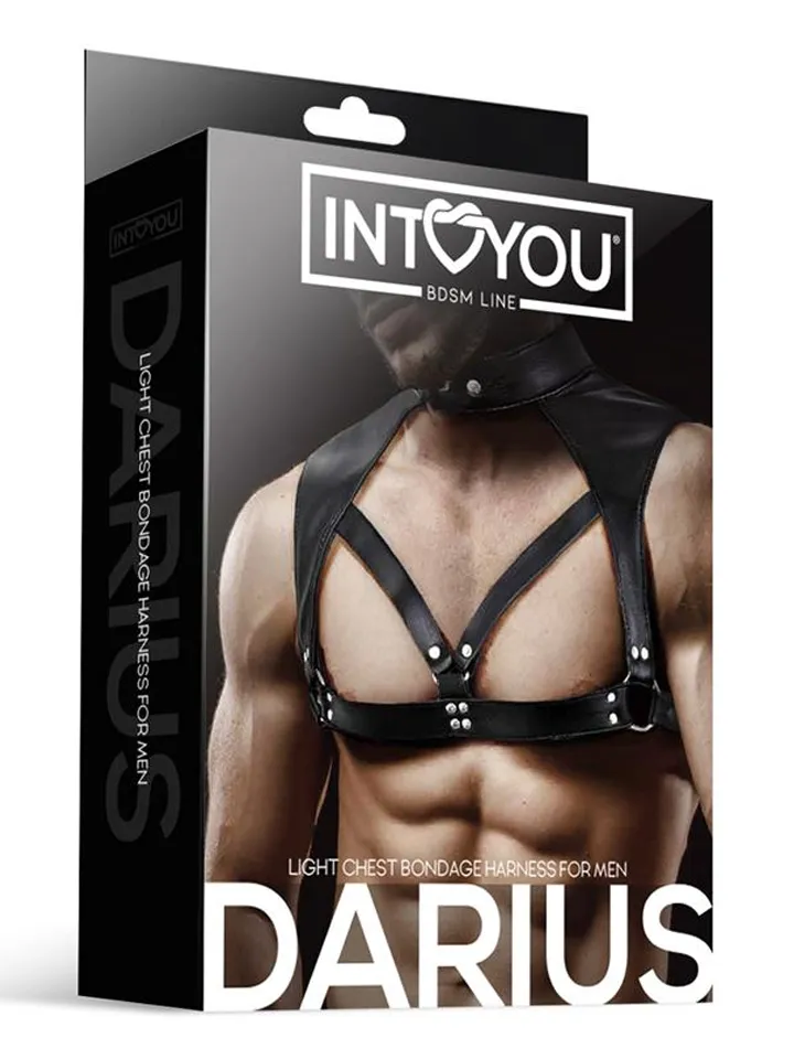 Darius Chest Bondage Harness - Vergavimas sele 1 [full]