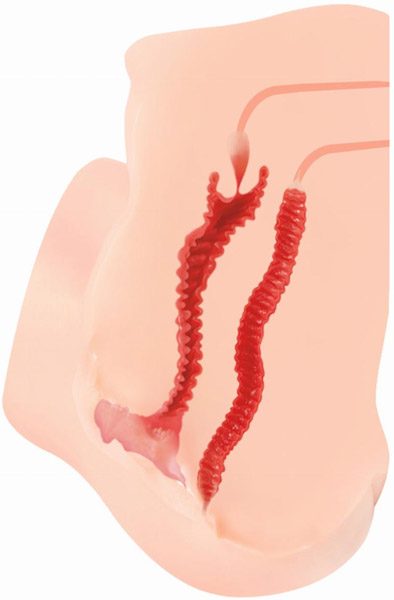 Kokos Hanna Onahole Masturbator 6,4 kg - Sekso lėlė 2