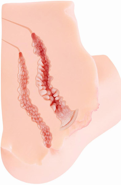 Kokos Onahole Masturbator 5,4 kg - Sekso lėlė 3