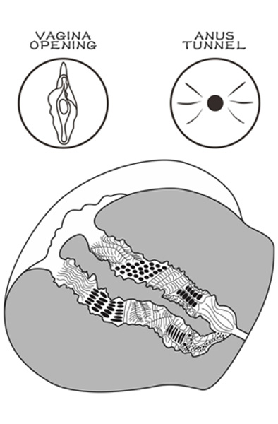 Lovetoy Streetgirl 13 Brown - Makšties masturbatorius 3