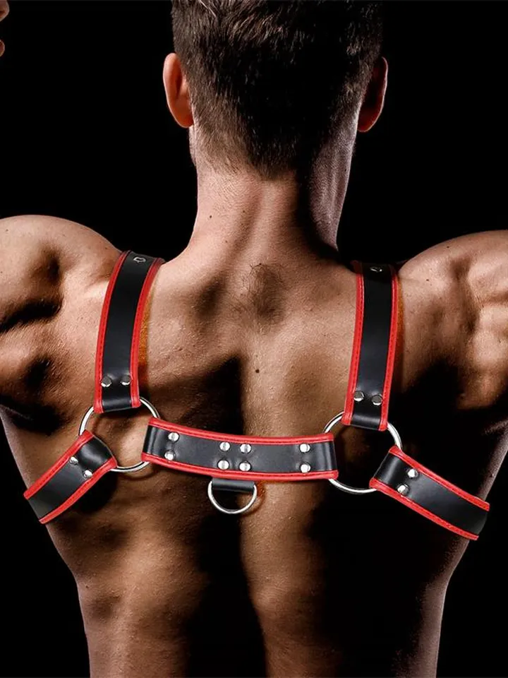 Odiseo Chest Bondage Harness - Vergavimas sele 2 [full]