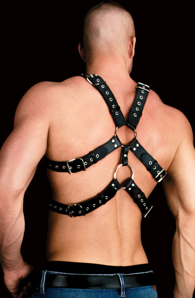 Ouch Andres Chest Harness - Vergavimas sele 2