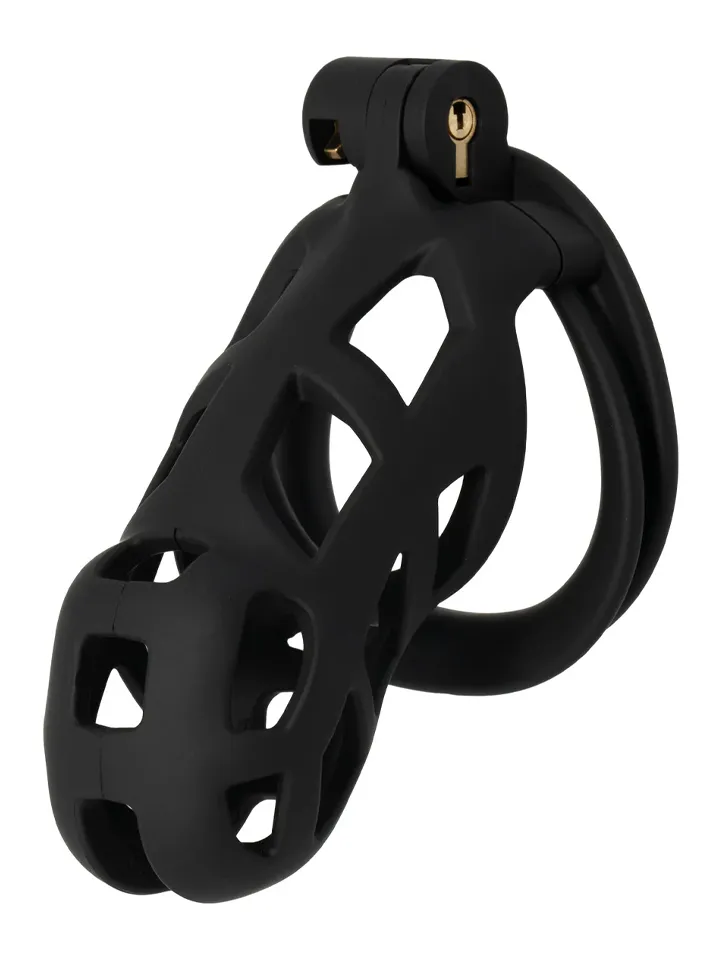 Penis Prison Cock Cage Long - Skaistybės narvas 1 [full]