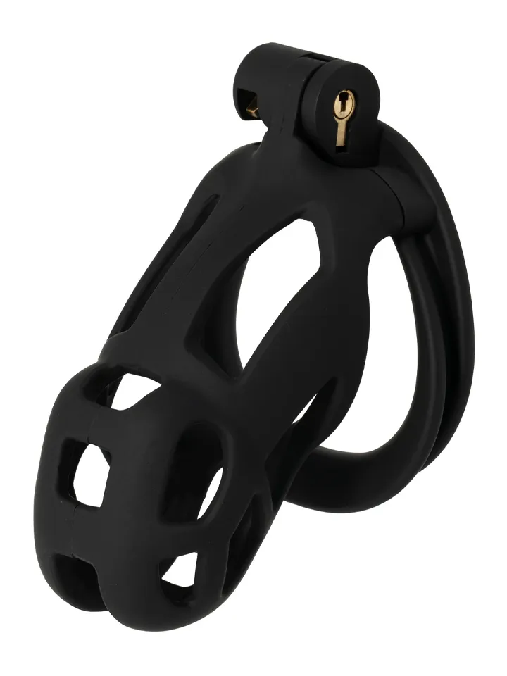 Penis Prison Cock Cage Regular - Skaistybės narvas 1 [full]