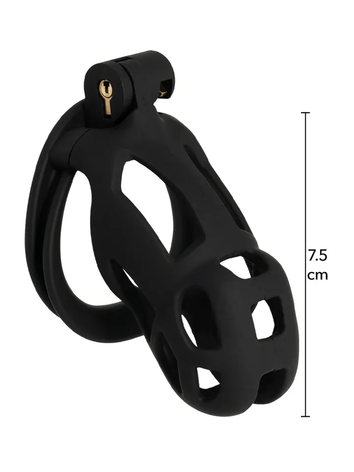 Penis Prison Cock Cage Regular - Skaistybės narvas 2 [full]