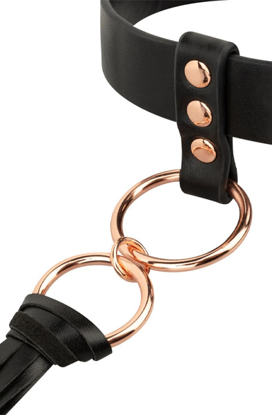 Rosy Gold Collar With Flogger - Apykaklė 4