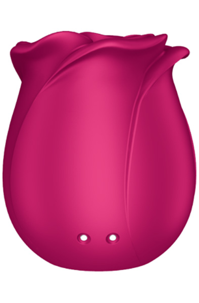 Satisfyer Pro 2 Classic Blossom - Oro slėgio vibratorius 7