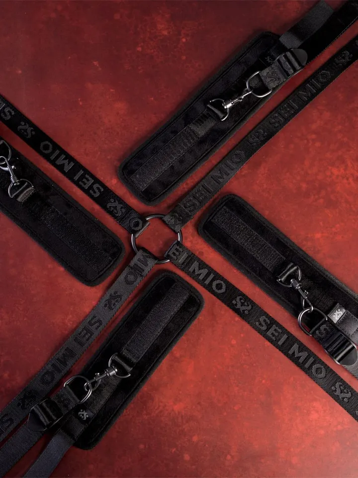 The Bed-Spreader Under The Mattress Restraint System - Riešas ir kulkšnies rankogaliai 6 [full]