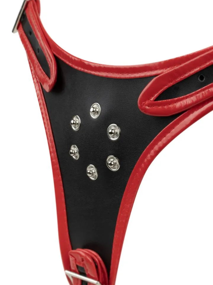 Triple Dildo Strap-On Harness - Diržu su diržais 3 [full]